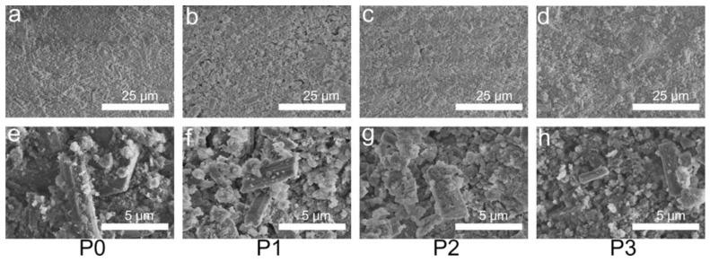 https://cdn.ncbi.nlm.nih.gov/pmc/blobs/5aba/10295830/07e9843a6d7a/biomimetics-08-00262-g006.jpg