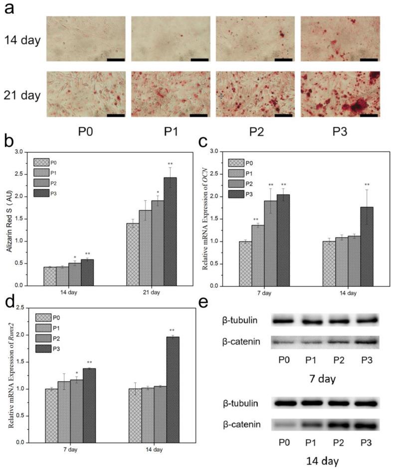 https://cdn.ncbi.nlm.nih.gov/pmc/blobs/5aba/10295830/64e0d508d4be/biomimetics-08-00262-g011.jpg