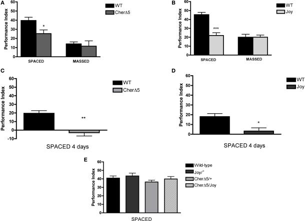 https://cdn.ncbi.nlm.nih.gov/pmc/blobs/5abb/2813723/320cb68694f6/fncir-03-022-g002.jpg