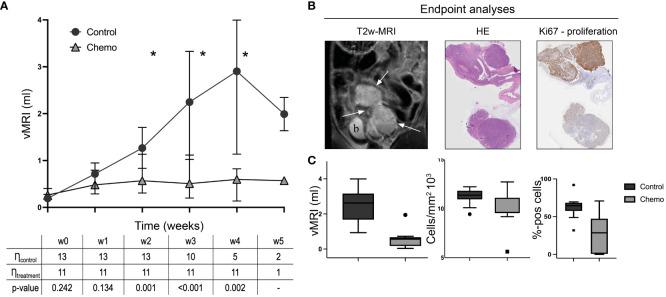 https://cdn.ncbi.nlm.nih.gov/pmc/blobs/5abc/11106402/ece8b29b29a6/fonc-14-1334541-g002.jpg
