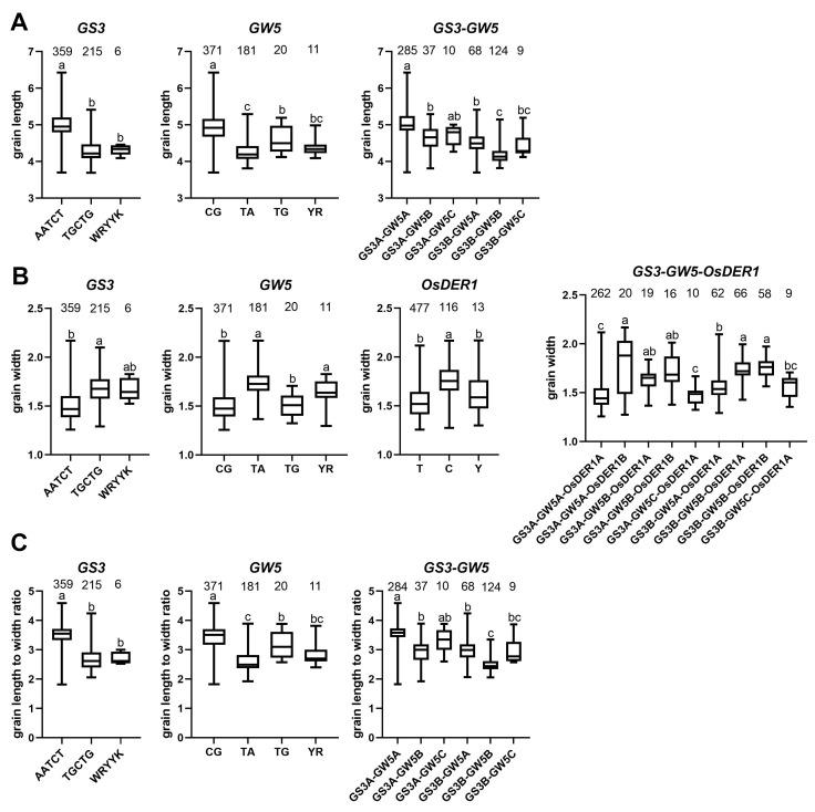 https://cdn.ncbi.nlm.nih.gov/pmc/blobs/5abe/8835367/129278323912/ijms-23-01065-g008.jpg