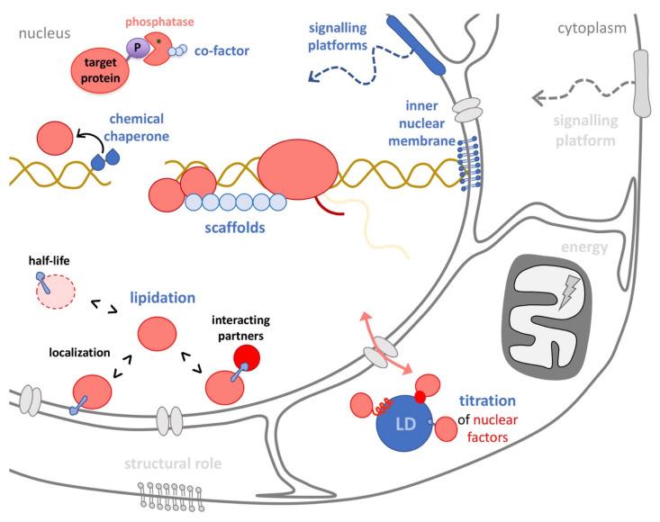 https://cdn.ncbi.nlm.nih.gov/pmc/blobs/5ac0/8657548/83ec7e567202/ijms-22-12930-g001.jpg