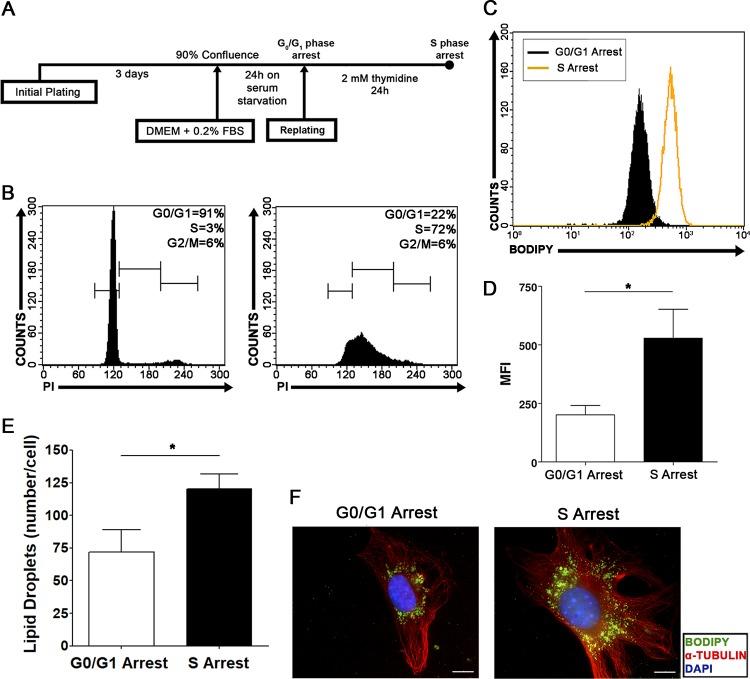 https://cdn.ncbi.nlm.nih.gov/pmc/blobs/5ac1/6469922/635f844db47d/MCB.00374-18-f0005.jpg