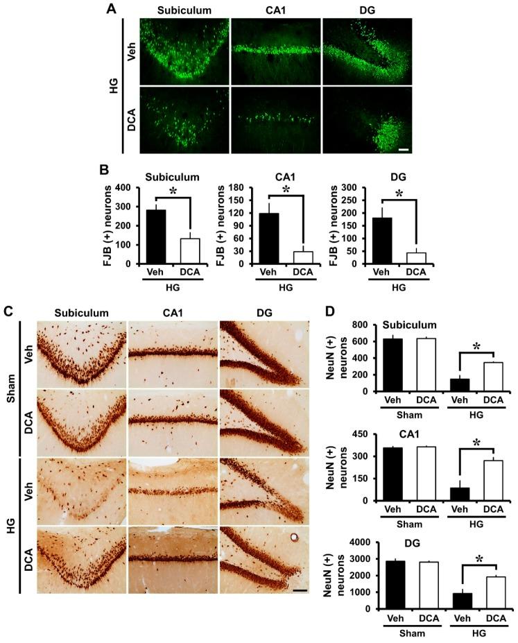 https://cdn.ncbi.nlm.nih.gov/pmc/blobs/5ac2/6562710/2fa48dd1c907/cells-08-00405-g002.jpg