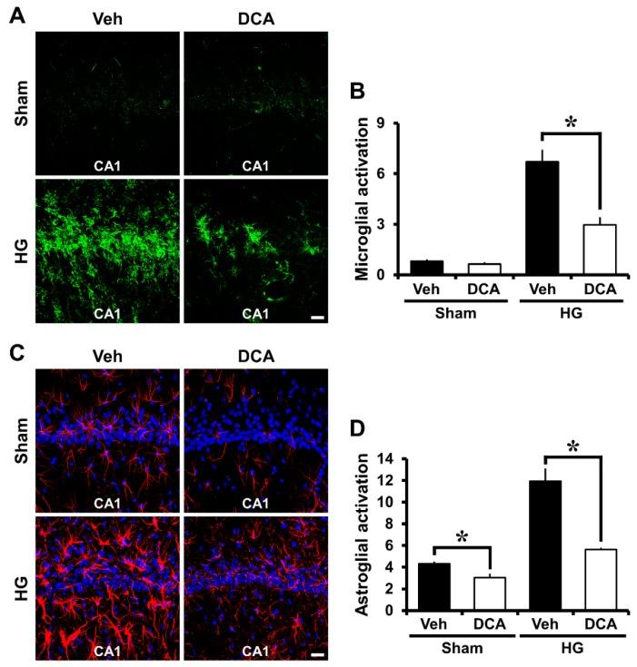 https://cdn.ncbi.nlm.nih.gov/pmc/blobs/5ac2/6562710/a677538dd1da/cells-08-00405-g004.jpg