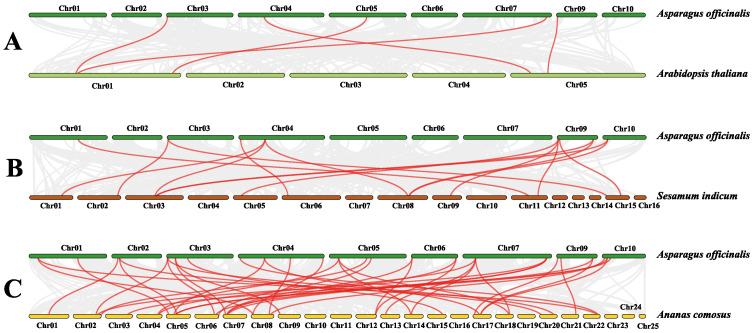 https://cdn.ncbi.nlm.nih.gov/pmc/blobs/5ac2/9222252/06246fda22cd/genes-13-00976-g006.jpg