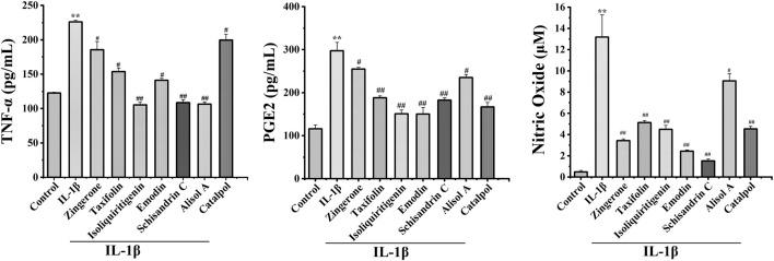 https://cdn.ncbi.nlm.nih.gov/pmc/blobs/5ac2/9727303/541e8138520f/fphar-13-993498-g005.jpg