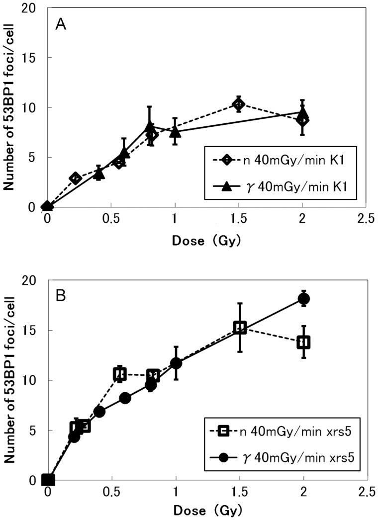 https://cdn.ncbi.nlm.nih.gov/pmc/blobs/5ac4/3534280/27768154827b/rrs07902.jpg
