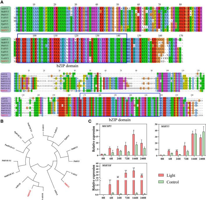 https://cdn.ncbi.nlm.nih.gov/pmc/blobs/5ac5/10040657/700d72b71806/fpls-14-1136281-g005.jpg