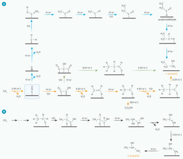 https://cdn.ncbi.nlm.nih.gov/pmc/blobs/5ac6/11910886/857d80a0de40/gr2.jpg