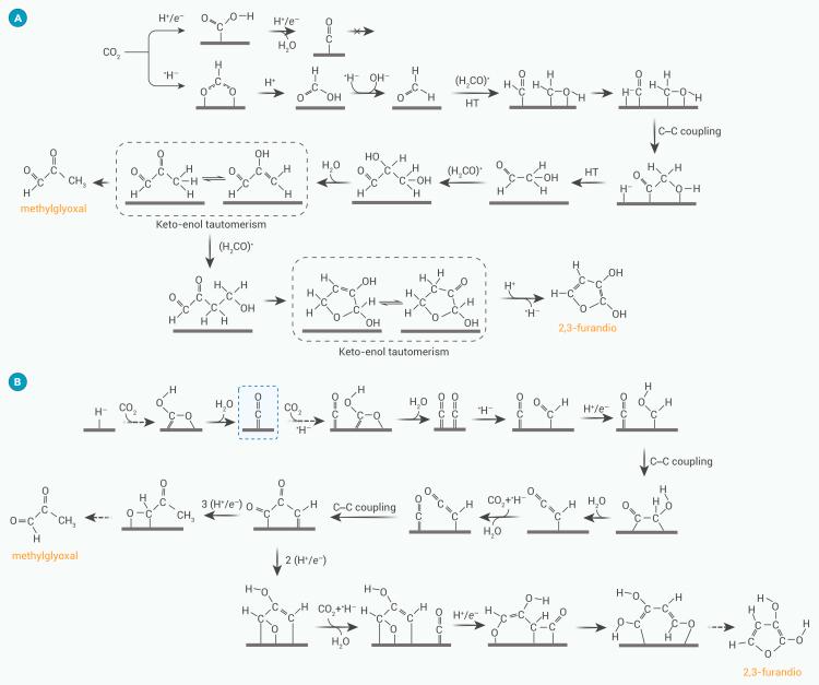 https://cdn.ncbi.nlm.nih.gov/pmc/blobs/5ac6/11910886/970602d93609/gr3.jpg