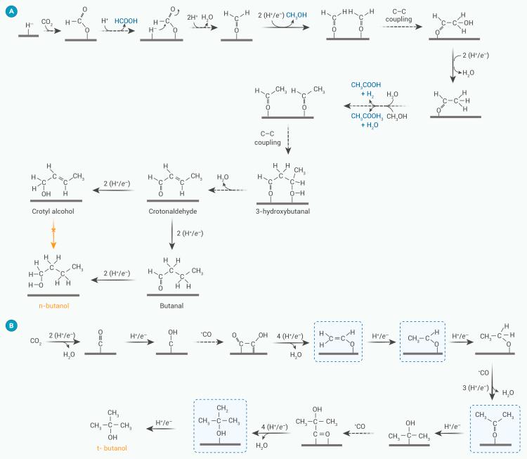 https://cdn.ncbi.nlm.nih.gov/pmc/blobs/5ac6/11910886/cab6528926cd/gr4.jpg