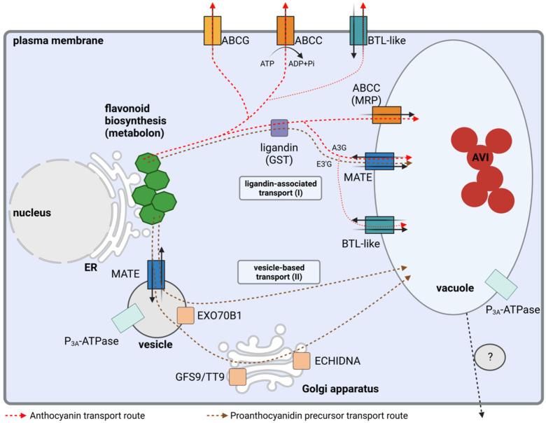 https://cdn.ncbi.nlm.nih.gov/pmc/blobs/5ac9/9002769/d75e002fca99/plants-11-00963-g002.jpg