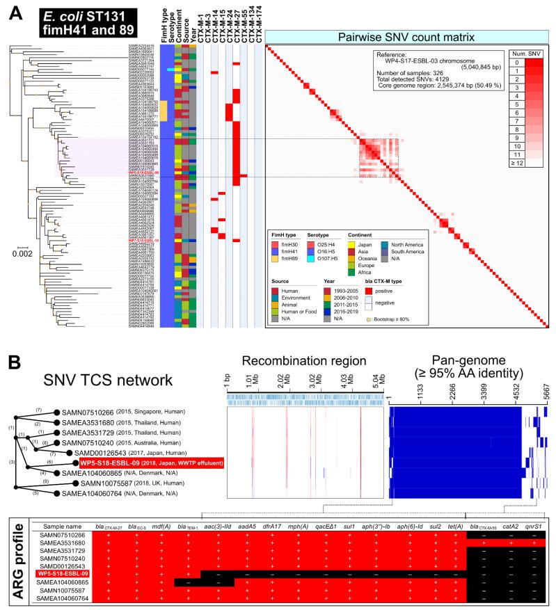 https://cdn.ncbi.nlm.nih.gov/pmc/blobs/5ac9/9598598/402677ed4bf2/antibiotics-11-01283-g003.jpg