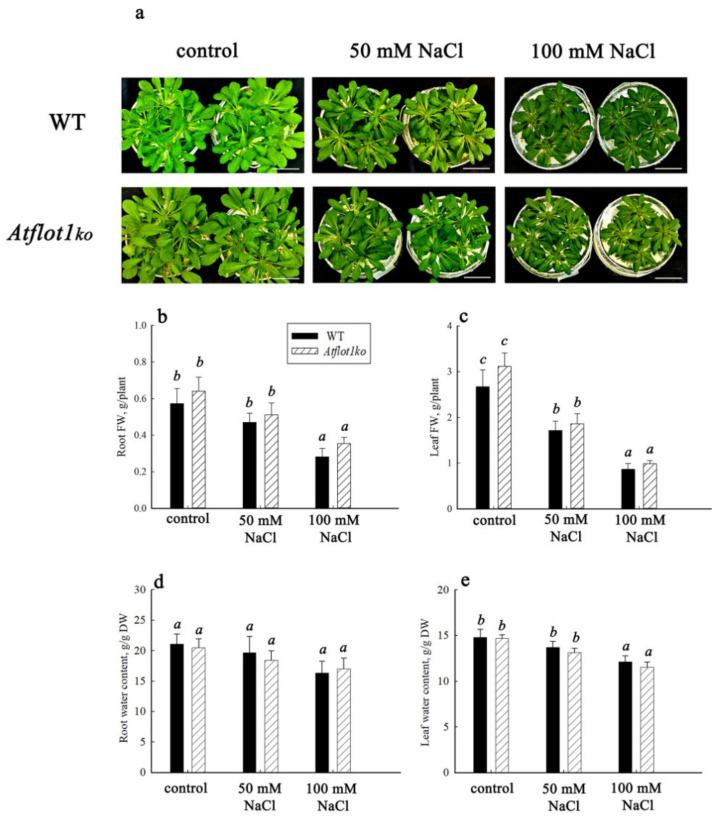 https://cdn.ncbi.nlm.nih.gov/pmc/blobs/5ac9/9861627/a6f49392f762/ijms-24-01251-g002.jpg