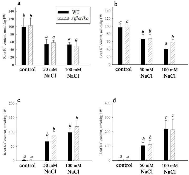 https://cdn.ncbi.nlm.nih.gov/pmc/blobs/5ac9/9861627/c4cabb216b6a/ijms-24-01251-g003.jpg