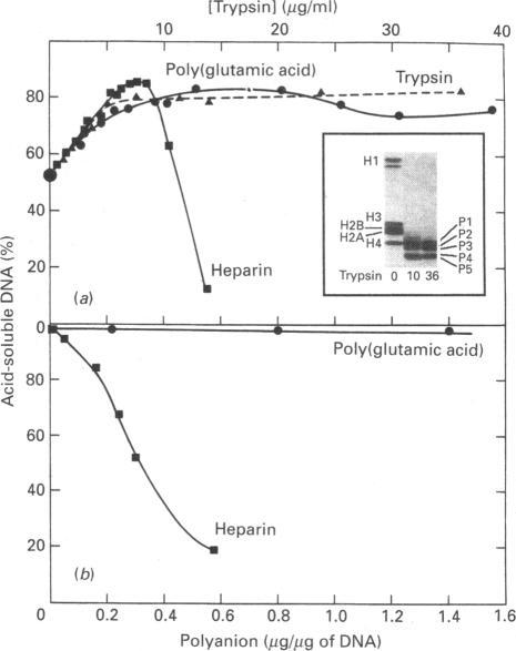 https://cdn.ncbi.nlm.nih.gov/pmc/blobs/5acb/1131979/f0a00525b955/biochemj00121-0248-a.jpg