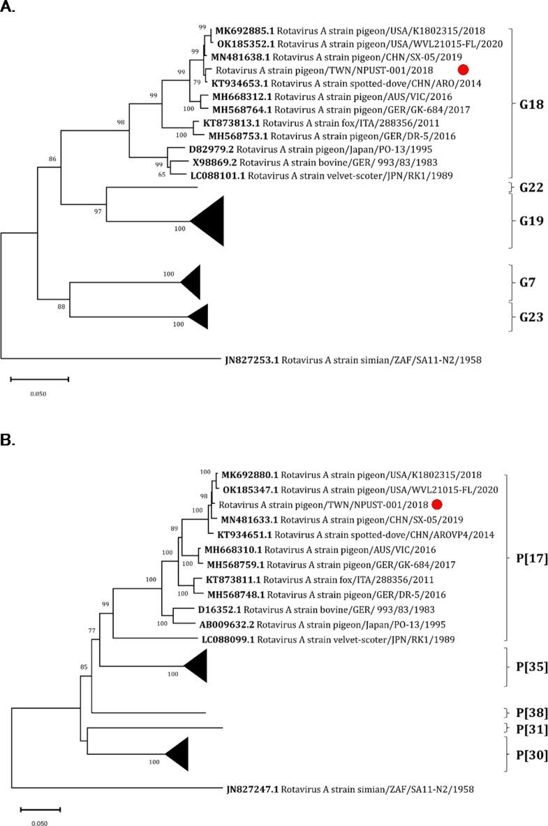 https://cdn.ncbi.nlm.nih.gov/pmc/blobs/5acb/11845667/0d15590a3fbd/41598_2025_87271_Fig5_HTML.jpg