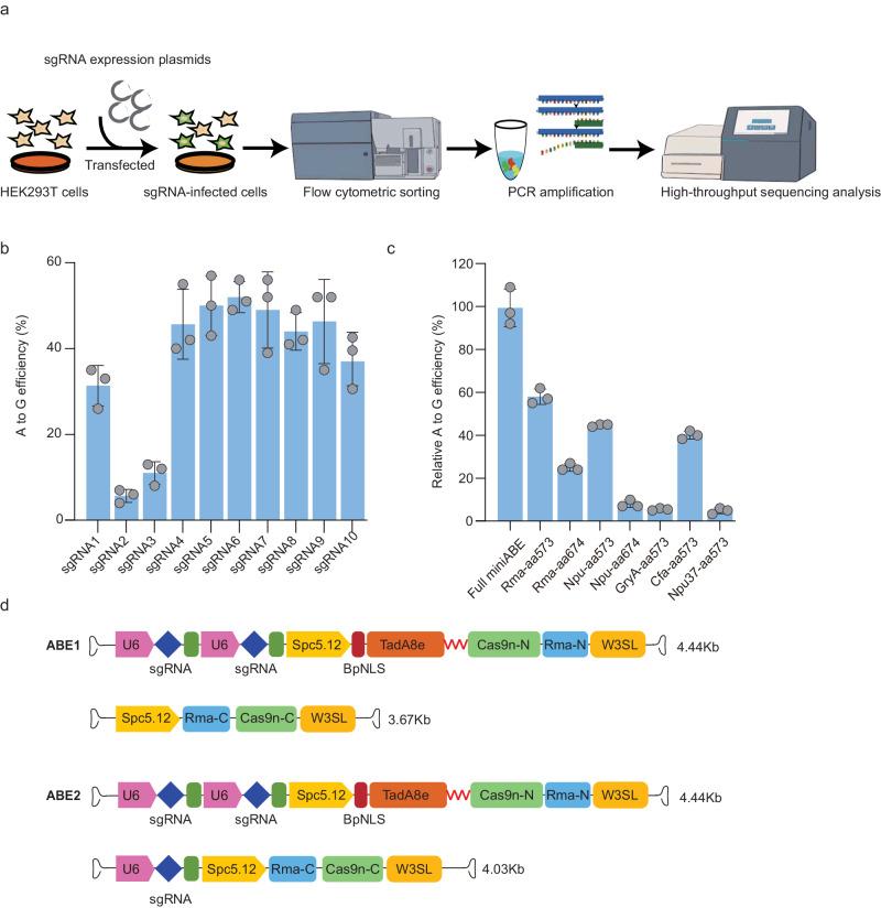 https://cdn.ncbi.nlm.nih.gov/pmc/blobs/5acc/11251194/50c62f388f8a/41467_2024_50340_Fig2_HTML.jpg