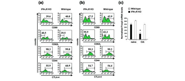 https://cdn.ncbi.nlm.nih.gov/pmc/blobs/5ace/1065335/e72b295b3e85/ar1500-3.jpg