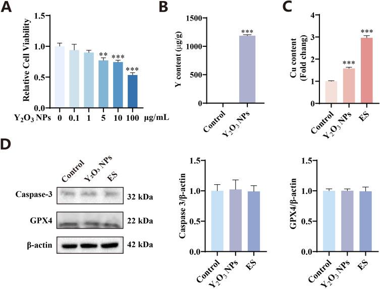 https://cdn.ncbi.nlm.nih.gov/pmc/blobs/5acf/12066367/2be0f134ae79/IJN-20-5799-g0006.jpg