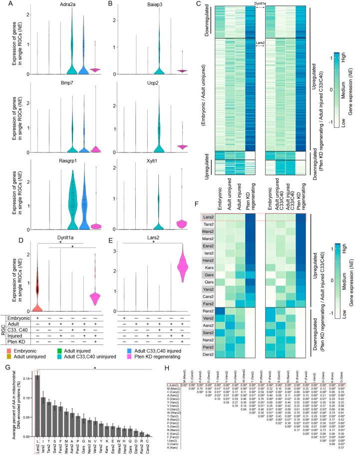 https://cdn.ncbi.nlm.nih.gov/pmc/blobs/5ad0/10163351/de033060f175/develop-150-201644-g3.jpg