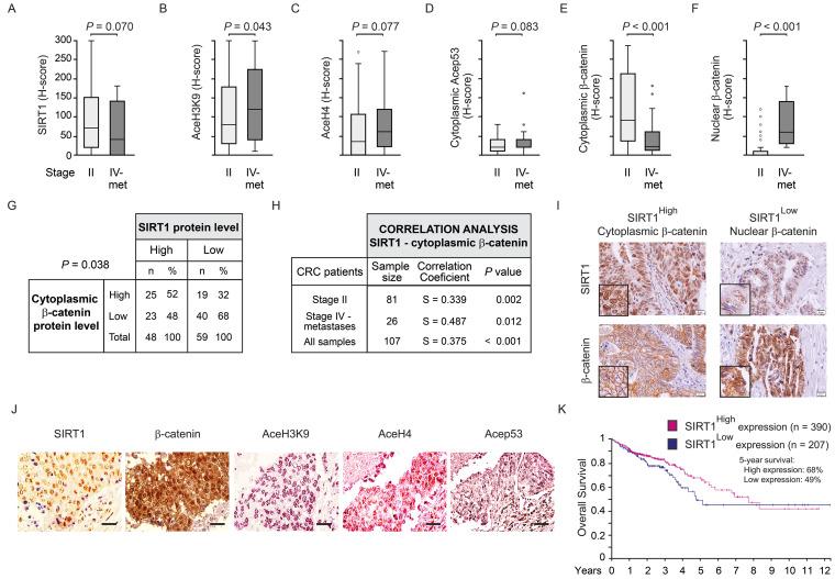 https://cdn.ncbi.nlm.nih.gov/pmc/blobs/5ad3/11528448/1e4941b8f6c5/ijbsv20p5495g002.jpg