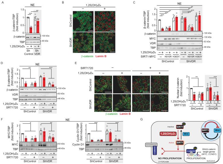 https://cdn.ncbi.nlm.nih.gov/pmc/blobs/5ad3/11528448/549df830f359/ijbsv20p5495g005.jpg