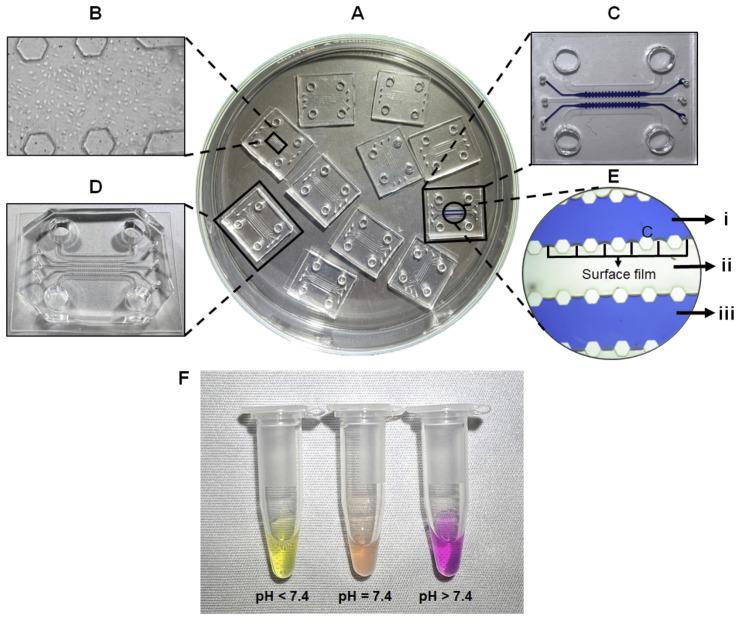 https://cdn.ncbi.nlm.nih.gov/pmc/blobs/5ad3/9504537/b3eec50f0af3/micromachines-13-01483-g006.jpg