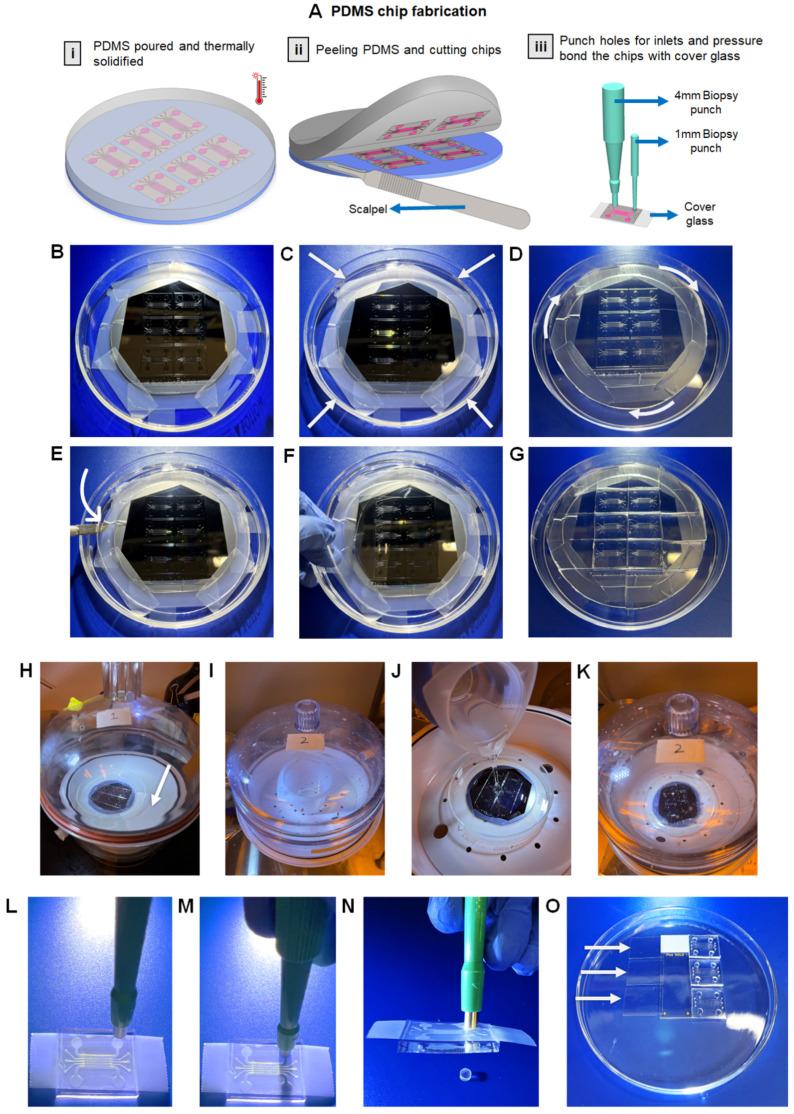 https://cdn.ncbi.nlm.nih.gov/pmc/blobs/5ad3/9504537/e95398fcd6c9/micromachines-13-01483-g005.jpg