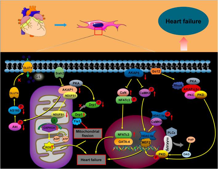 https://cdn.ncbi.nlm.nih.gov/pmc/blobs/5ad4/12209316/e369d61eeb2e/fcell-13-1611583-g004.jpg