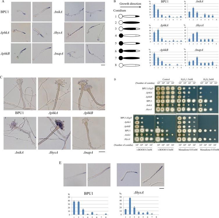 https://cdn.ncbi.nlm.nih.gov/pmc/blobs/5ad5/3907689/7fbdaae1c076/gr2.jpg