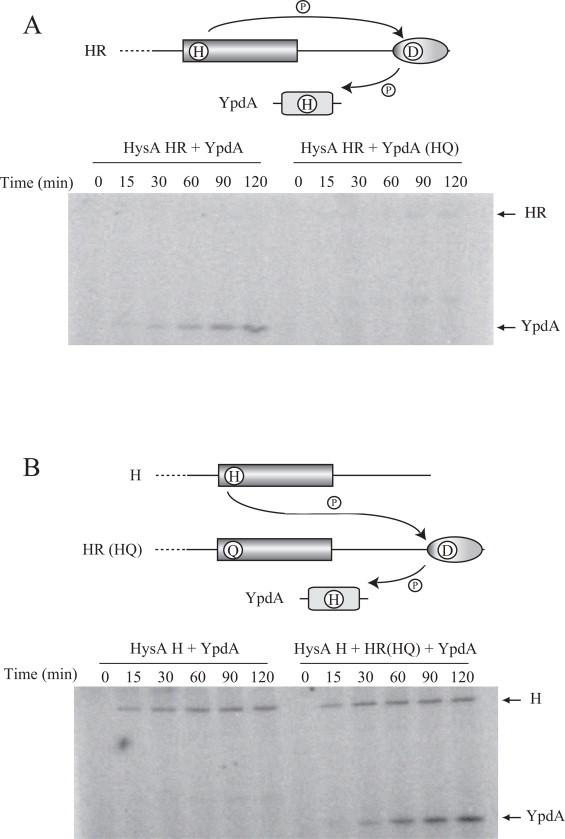 https://cdn.ncbi.nlm.nih.gov/pmc/blobs/5ad5/3907689/a494e9dcf902/gr5.jpg