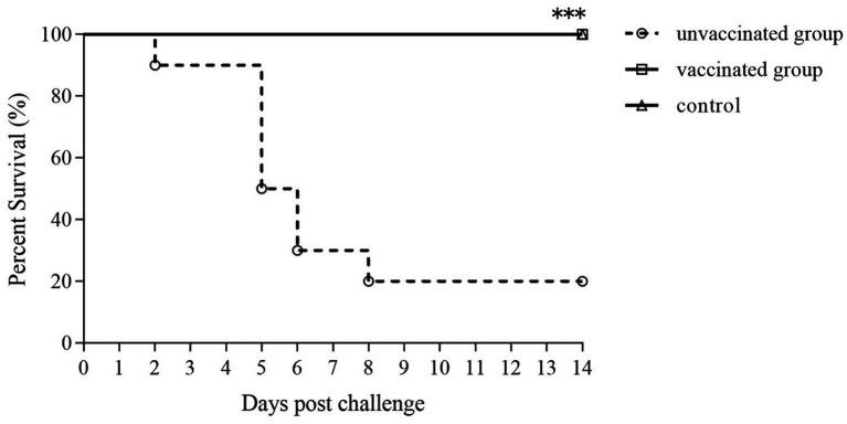 https://cdn.ncbi.nlm.nih.gov/pmc/blobs/5ad6/12234537/34e1a1a03e3d/fmicb-16-1631008-g008.jpg