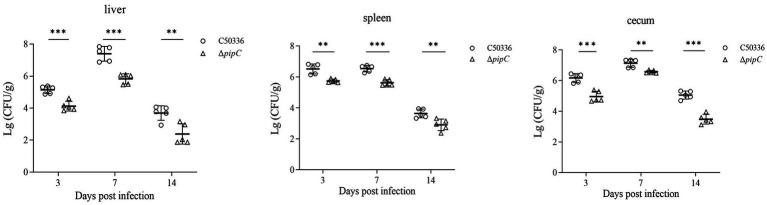 https://cdn.ncbi.nlm.nih.gov/pmc/blobs/5ad6/12234537/e60a81e63f7d/fmicb-16-1631008-g006.jpg