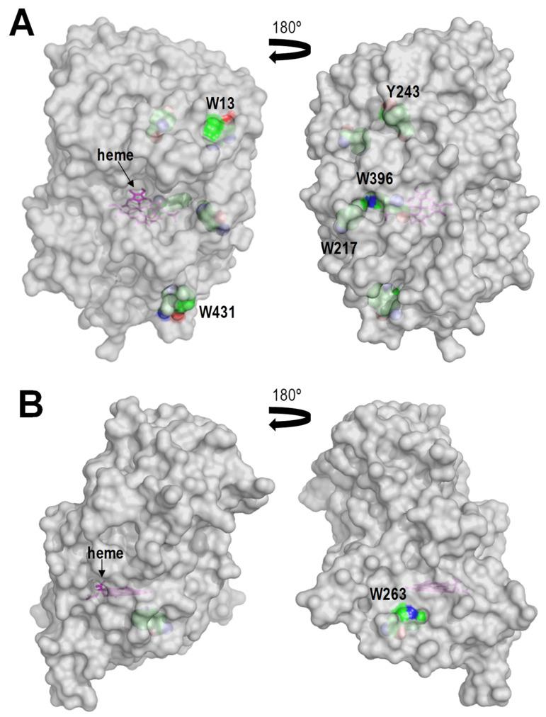https://cdn.ncbi.nlm.nih.gov/pmc/blobs/5ad6/7961821/2c0171f7667d/ijms-22-02629-g005.jpg