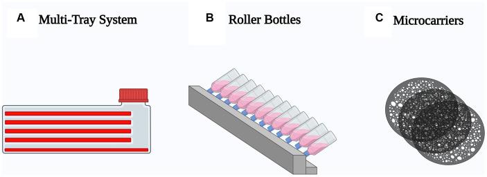 https://cdn.ncbi.nlm.nih.gov/pmc/blobs/5ad8/10493286/b0eef3a9b074/fnut-10-1189664-g003.jpg