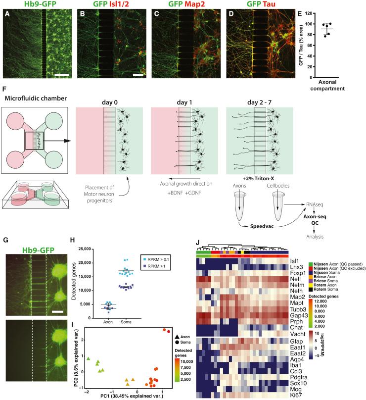 https://cdn.ncbi.nlm.nih.gov/pmc/blobs/5ad9/6294264/2dbd7a5e5edb/gr1.jpg