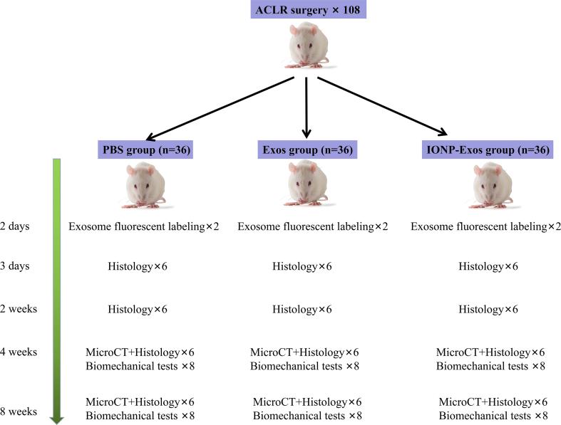 https://cdn.ncbi.nlm.nih.gov/pmc/blobs/5ad9/9218580/13d92f21625b/figs1.jpg