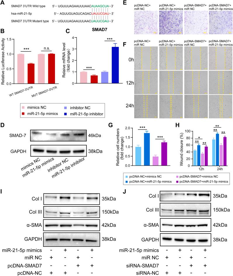 https://cdn.ncbi.nlm.nih.gov/pmc/blobs/5ad9/9218580/18f258c6fc34/gr7.jpg