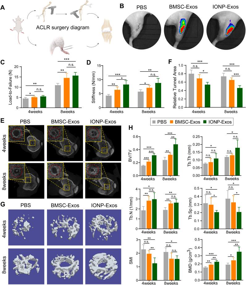 https://cdn.ncbi.nlm.nih.gov/pmc/blobs/5ad9/9218580/21e5283df217/gr4.jpg