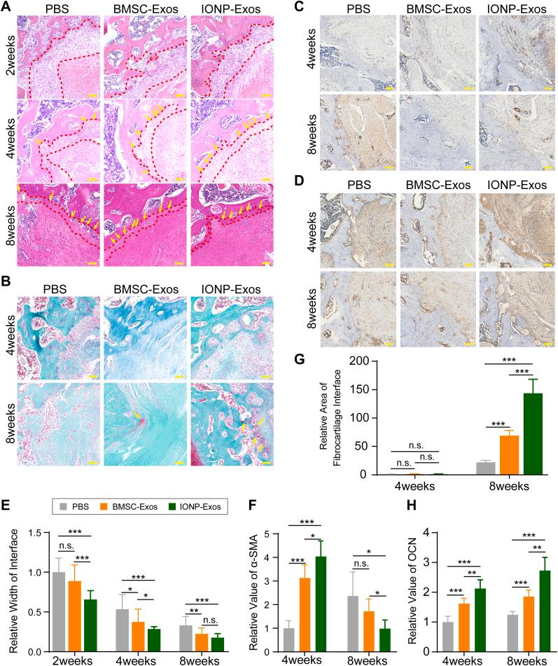 https://cdn.ncbi.nlm.nih.gov/pmc/blobs/5ad9/9218580/3da040d01dc5/gr5.jpg