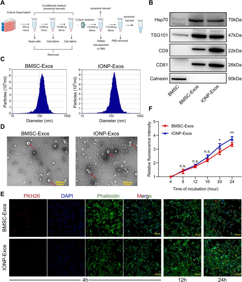 https://cdn.ncbi.nlm.nih.gov/pmc/blobs/5ad9/9218580/4627a1b873ce/gr2.jpg
