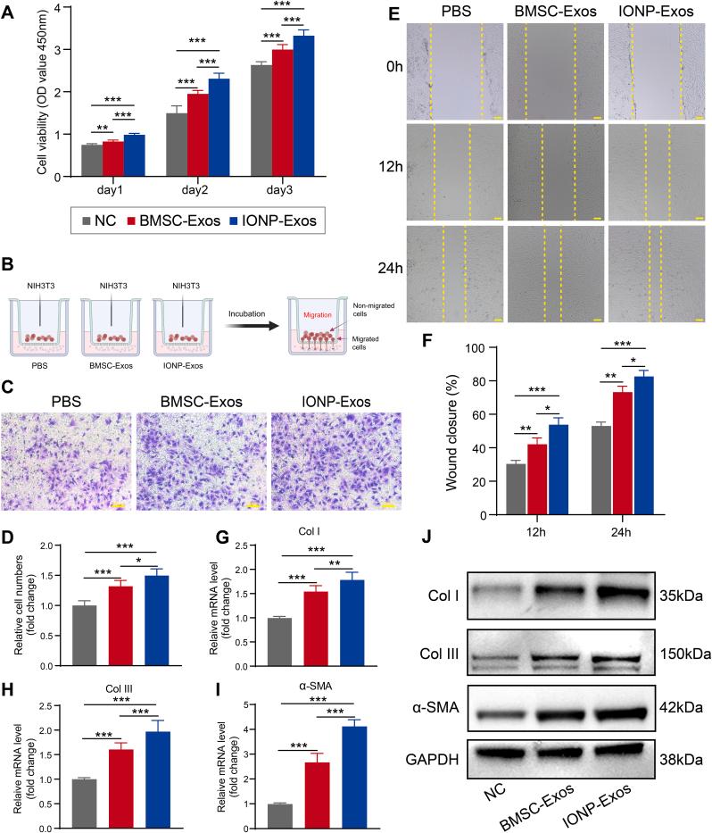 https://cdn.ncbi.nlm.nih.gov/pmc/blobs/5ad9/9218580/b96f75561a57/gr3.jpg