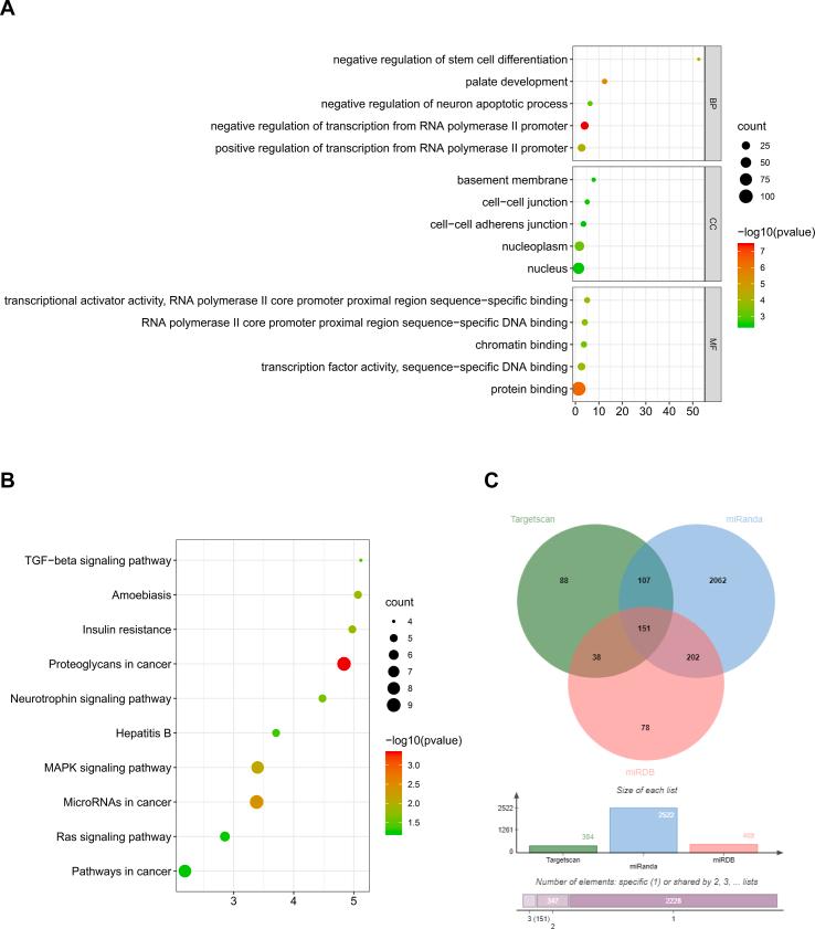 https://cdn.ncbi.nlm.nih.gov/pmc/blobs/5ad9/9218580/d9869200aaed/figs2.jpg