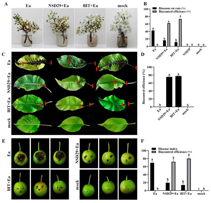 https://cdn.ncbi.nlm.nih.gov/pmc/blobs/5adb/12157898/ba3931a9dfc9/plants-14-01564-g005.jpg
