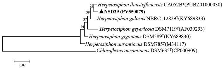 https://cdn.ncbi.nlm.nih.gov/pmc/blobs/5adb/12157898/f5f338abe6d4/plants-14-01564-g002.jpg