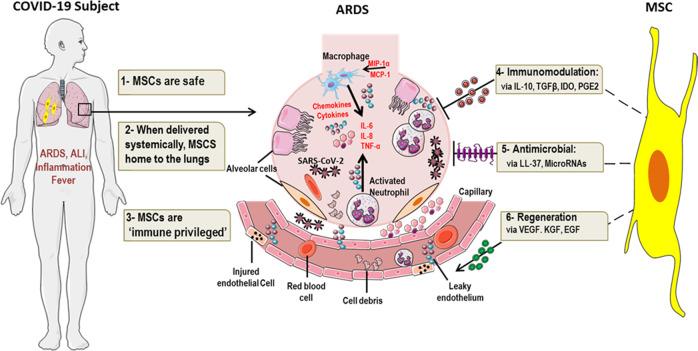 https://cdn.ncbi.nlm.nih.gov/pmc/blobs/5adc/7589470/3360e130108d/41536_2020_105_Fig1_HTML.jpg