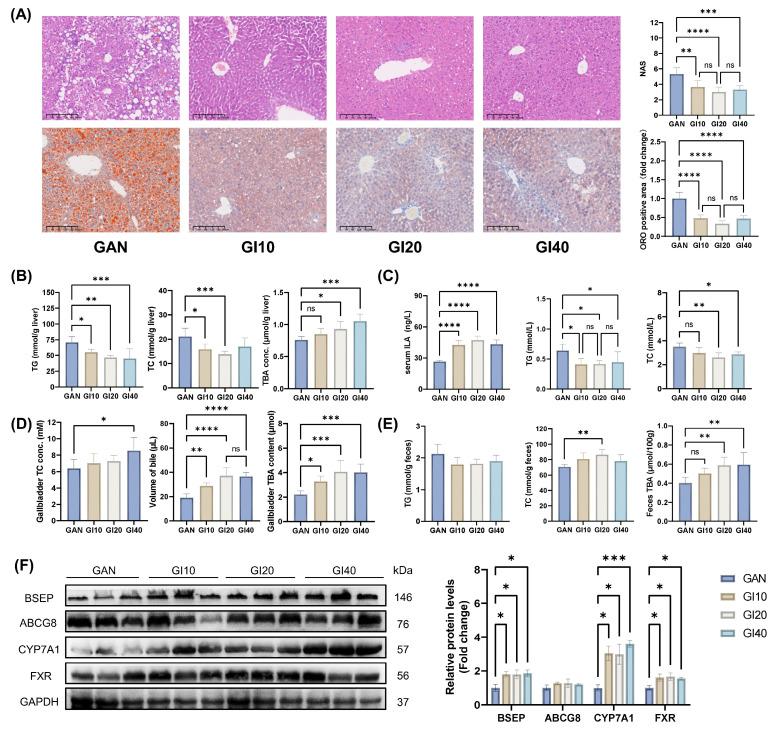 https://cdn.ncbi.nlm.nih.gov/pmc/blobs/5add/12374830/3597b46b21c6/ijbsv21p5015g007.jpg