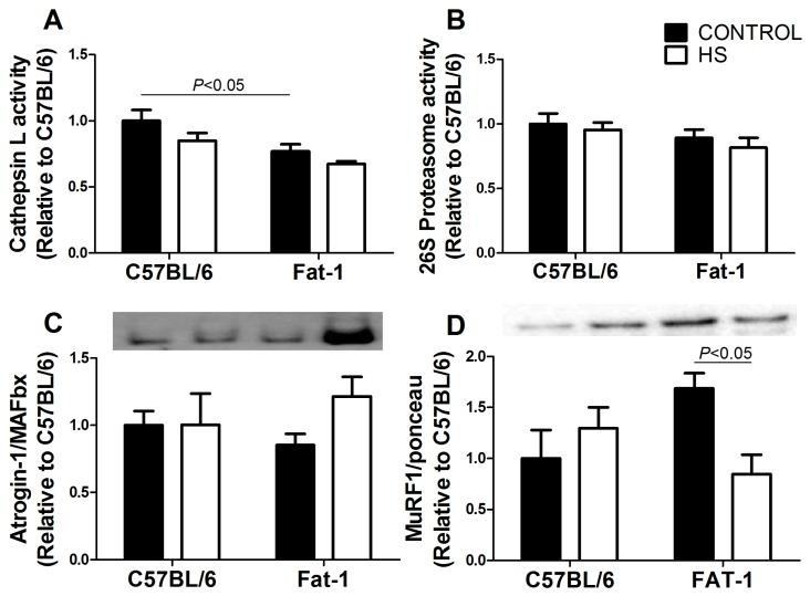 https://cdn.ncbi.nlm.nih.gov/pmc/blobs/5ae0/5691716/005c26a52627/nutrients-09-01100-g003.jpg